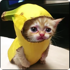 Котаны-2 — стикер для MAX