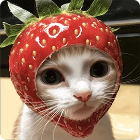 Котаны-2 — стикер для MAX