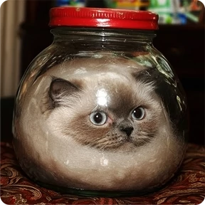 Котаны-2 — стикер для MAX