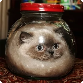 Стикер