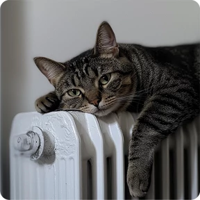 Котаны-2 — стикер для MAX