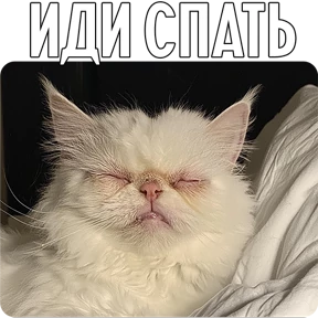 Котаны-2 — стикер для MAX