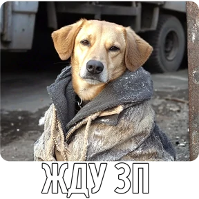 Собакены — стикер для MAX