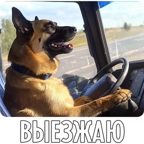 Собакены — стикер для MAX