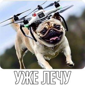 Собакены — стикер для MAX