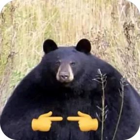 Публикация