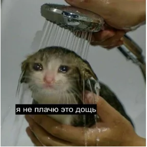 Стикер из сообщения канала