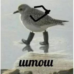 Стикер