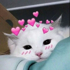 Котики — стикер для MAX
