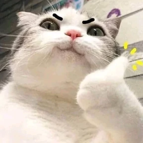 Котики — стикер для MAX