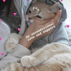 Котики — стикер для MAX