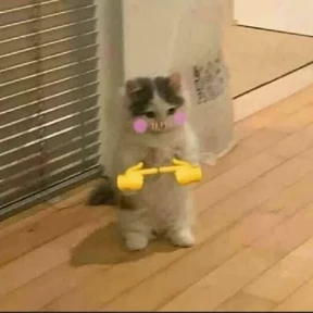 Котики — стикер для MAX