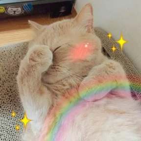 Котики — стикер для MAX