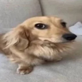 Стикер из сообщения канала