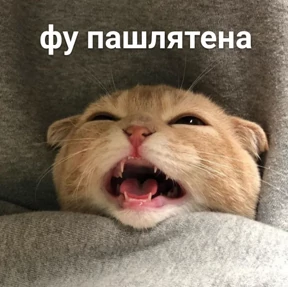 Стикеры — стикер для MAX