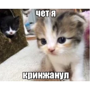 Стикеры — стикер для MAX