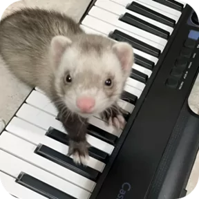 Стикер