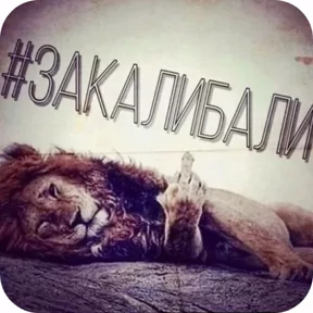 Стикер