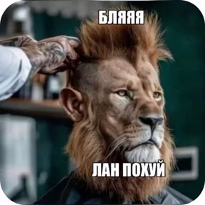 Стикер