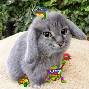 Котокролик — стикер для MAX