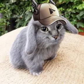 Котокролик — стикер для MAX
