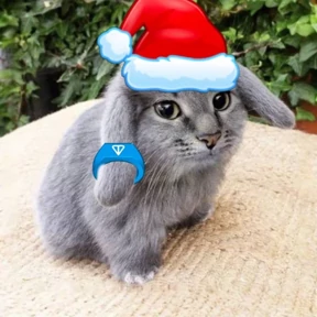 Котокролик — стикер для MAX