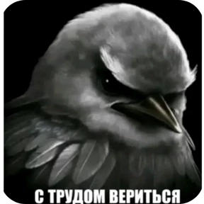 Стикер