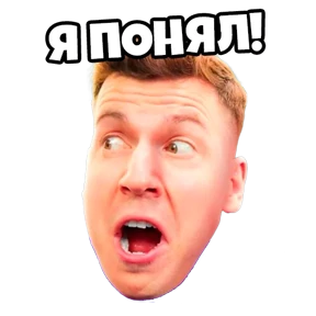 VLADUS ВЛАДУС — стикер для MAX