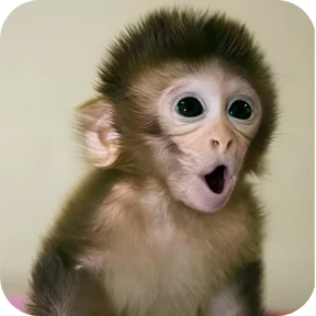 Манки @tgstickers — стикер для MAX