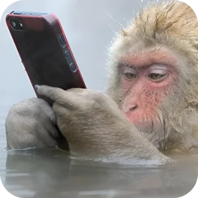 Манки @tgstickers — стикер для MAX