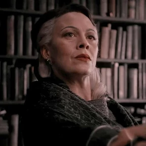 Гарри Поттер — стикер для MAX