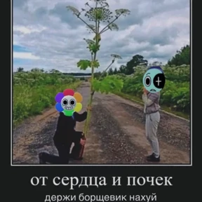 Денди Треш — стикер для MAX