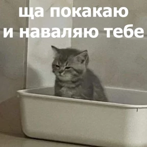 lolanimals4 — стикер для MAX
