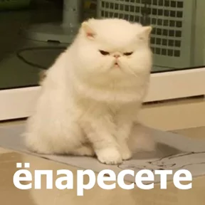 ✅ Открытки и поздравления - Подпишись — 2 августа 2026 г. в 12:37:21.479
