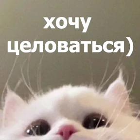 lolanimals4 — стикер для MAX