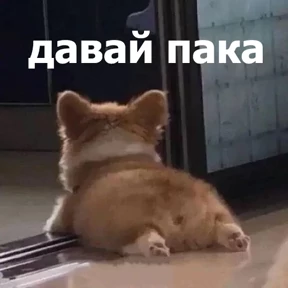 lolanimals4 — стикер для MAX