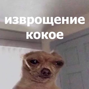 lolanimals4 — стикер для MAX