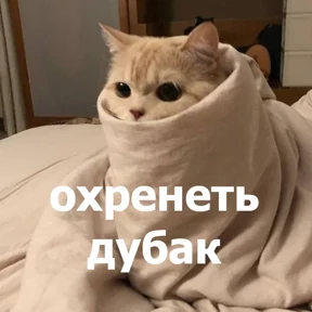lolanimals4 — стикер для MAX