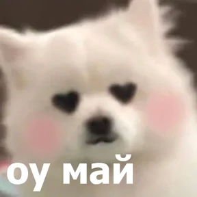 lolanimals4 — стикер для MAX
