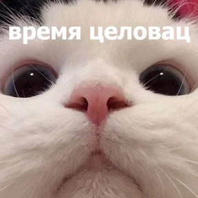 lolanimals4 — стикер для MAX