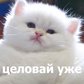 lolanimals4 — стикер для MAX