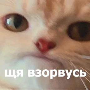lolanimals4 — стикер для MAX