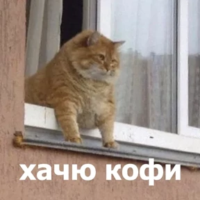 lolanimals4 — стикер для MAX