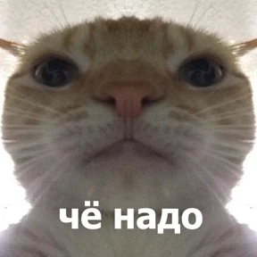 lolanimals4 — стикер для MAX