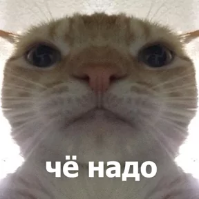 Стикер