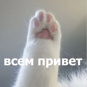 lolanimals4 — стикер для MAX