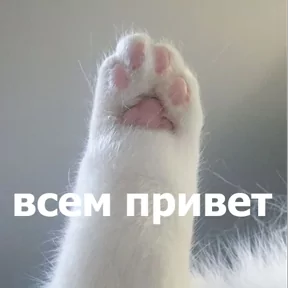 Стикер