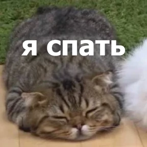 lolanimals4 — стикер для MAX