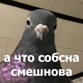 lolanimals4 — стикер для MAX