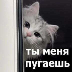 lolanimals4 — стикер для MAX